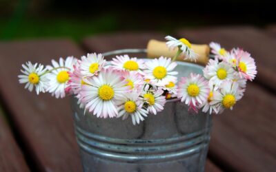 Sielun sirpaloituminen